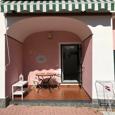 Rosmarino Celle Ligure