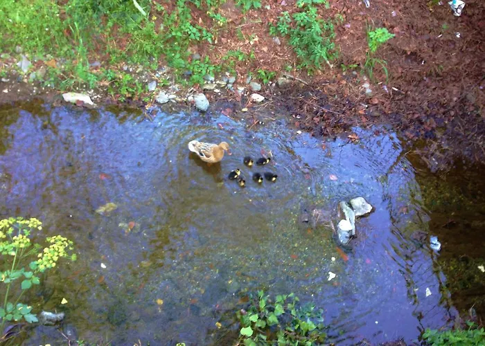 Frühstückspension Rosmarino 4*