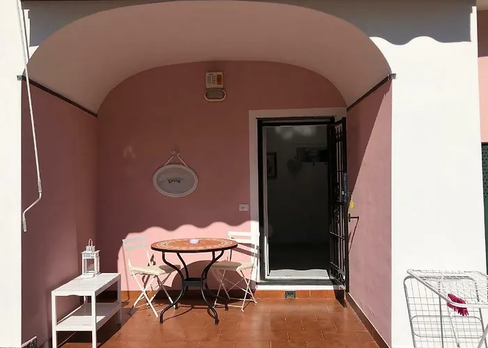 Rosmarino Celle Ligure