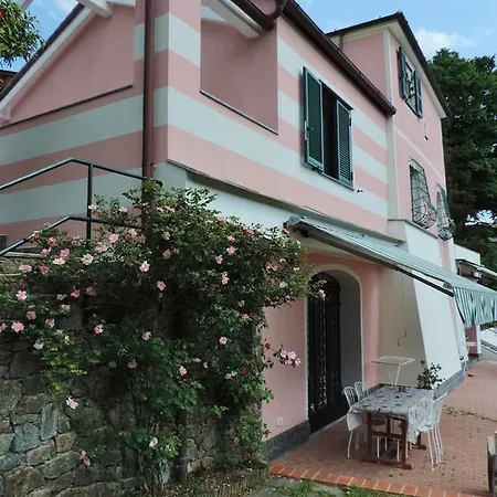 Rosmarino 4*