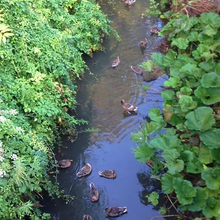 فندق مبيت وإفطار Rosmarino سيلي ليجور