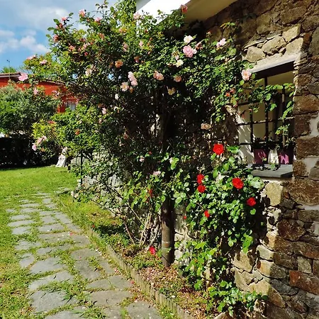 Bed & Breakfast Rosmarino 3*