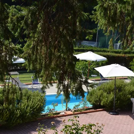 Rosmarino Celle Ligure